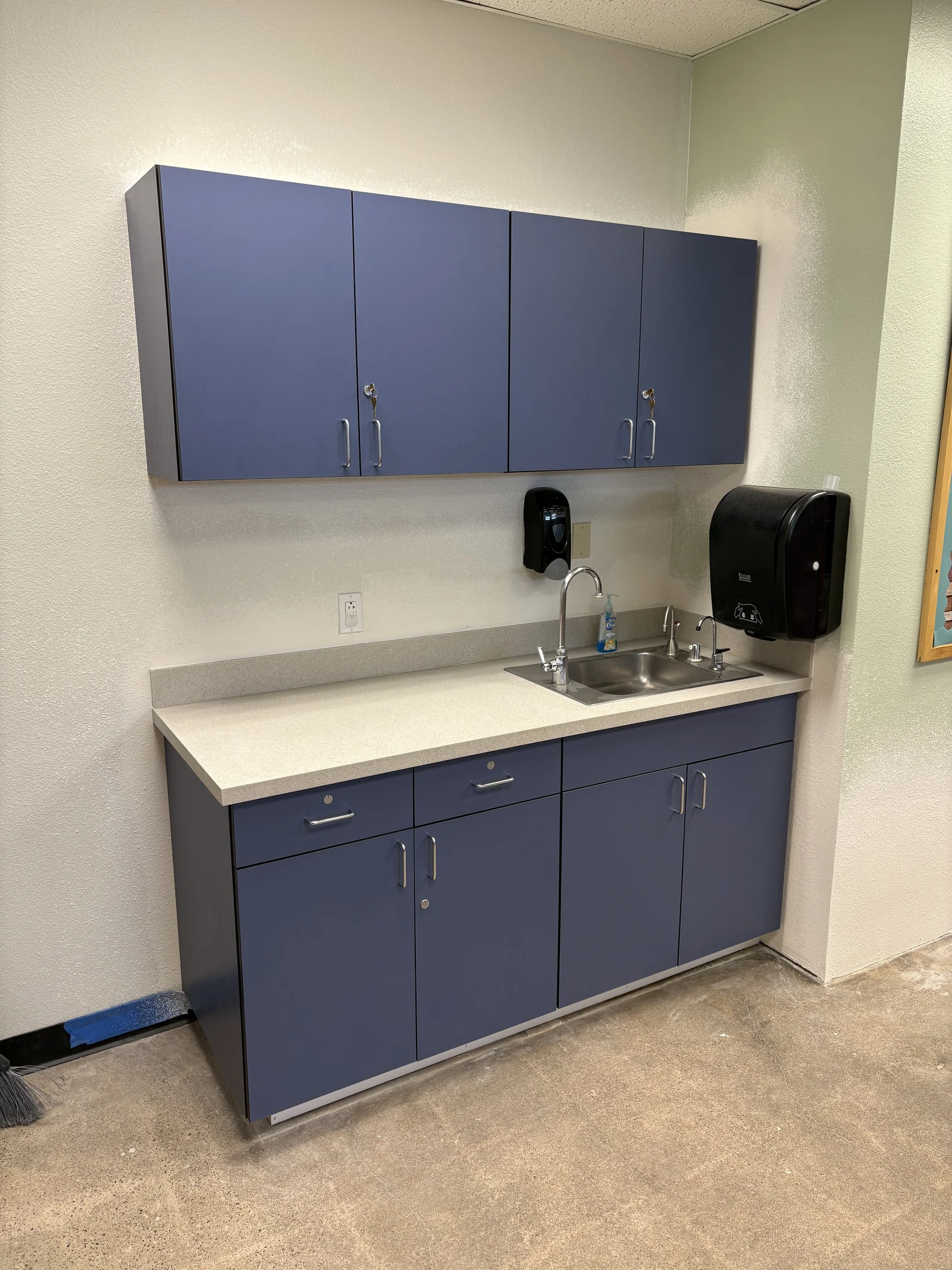 Blue sink cabinetry and upper commercial storage